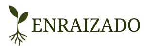 Enraizado